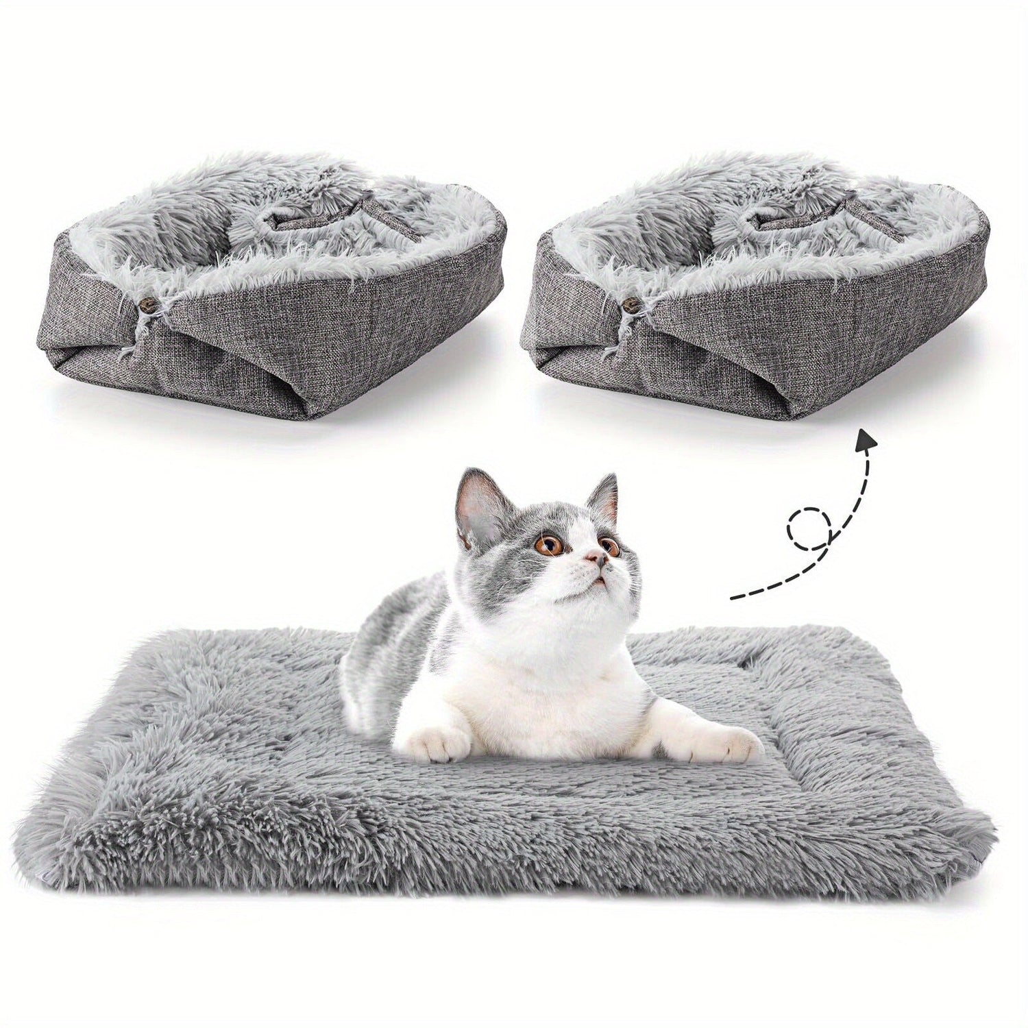 Beds & Blankets