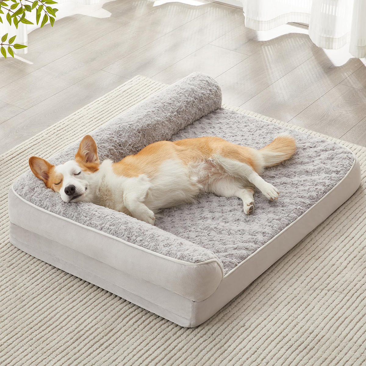 Ped Beds