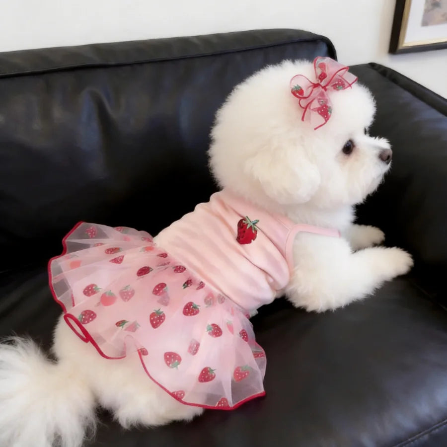 1PC Cute Pet Dog Dress for Small Dogs Thin Puppy Princess Skirt Dog Summer Clothes Chihuahua York Clothing Pet Supplies