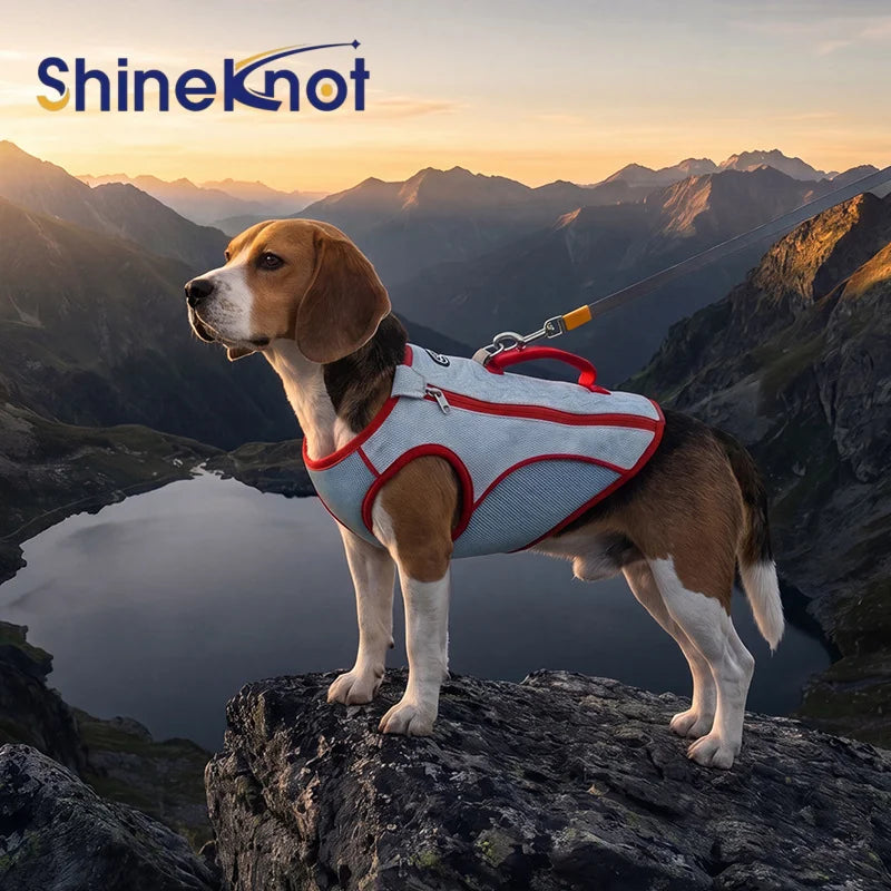 SHINEKNOT Summer Pet Clothing Large Dog Golden Fur Contrasting Color Outdoor Cooling And Cooling Clothes Summer Big Dog Vest