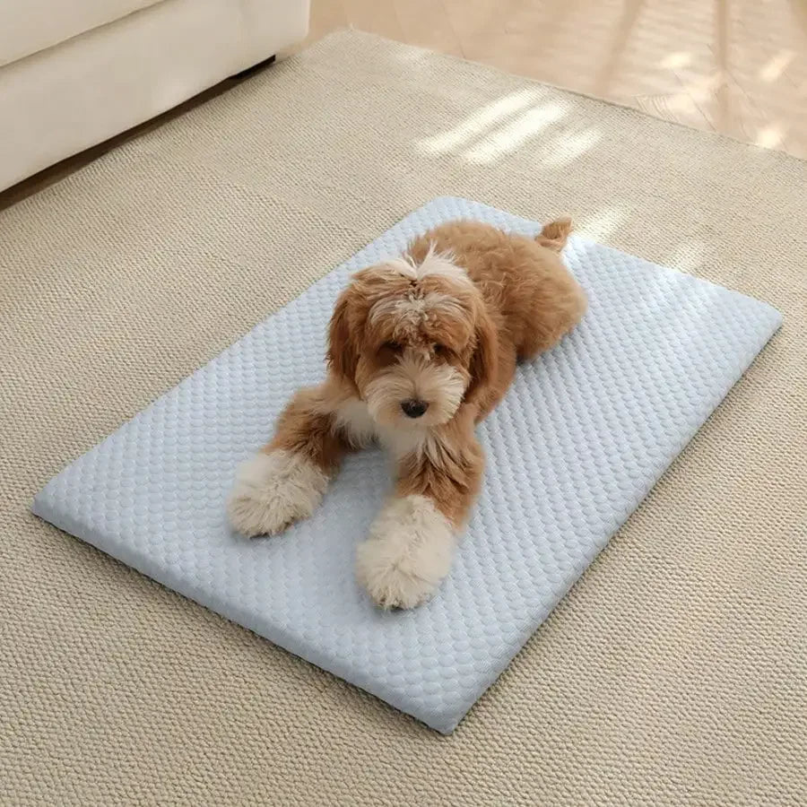 1pc Sponge Cooling Cat Bed, Thick Padding Comfortable Cool Breathable Cat Nest, Non-Slip And Washable Cooling Small Dog Bed, Suitable For All Seasons