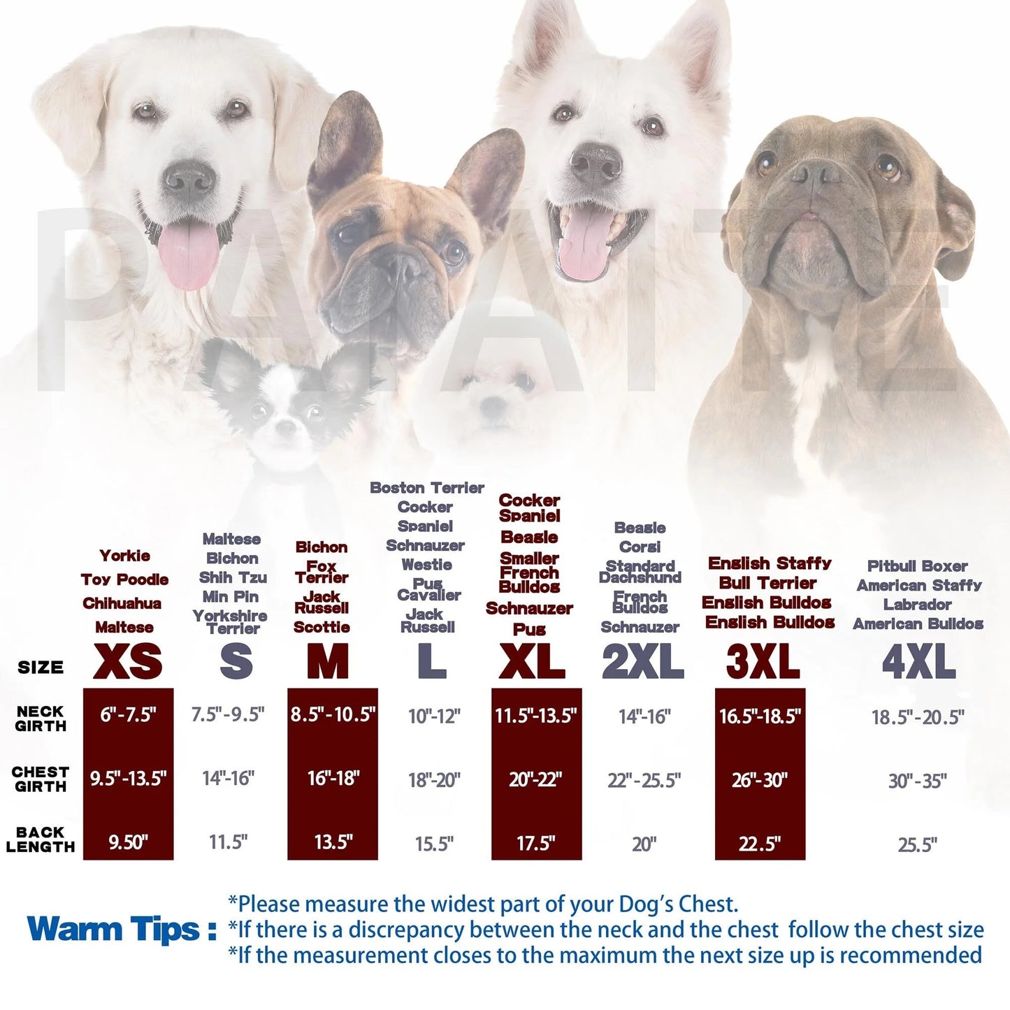 Cozy Sleeveless Canine Wear Dog Clothes, Soft, Lightweight, and Breathable Cotton Dog Shirt with I'm Mom's Favorite Print.Vest Tank Top Ideal for Small, Medium, and Large Breeds Black M